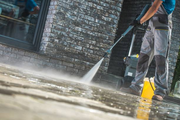 Best Driveway Cleaning and Restoration in Kouts, IN
